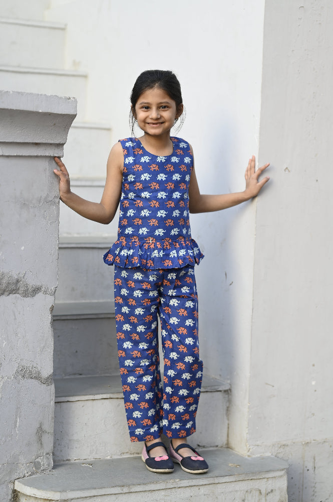 Cotton animal printed girls co-ords set