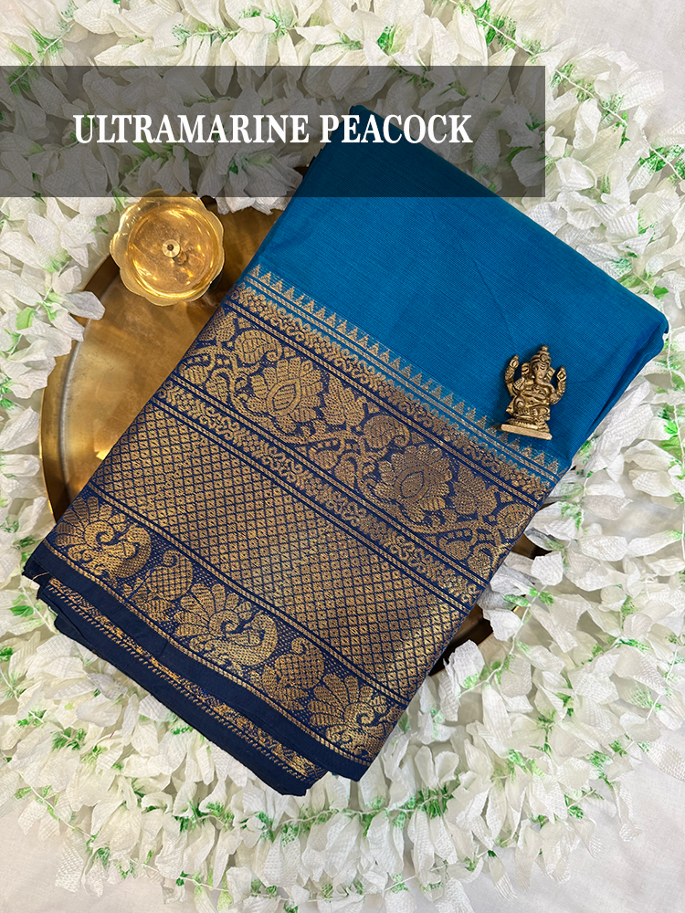 Bharatanatyam dance saree, dance practice saree