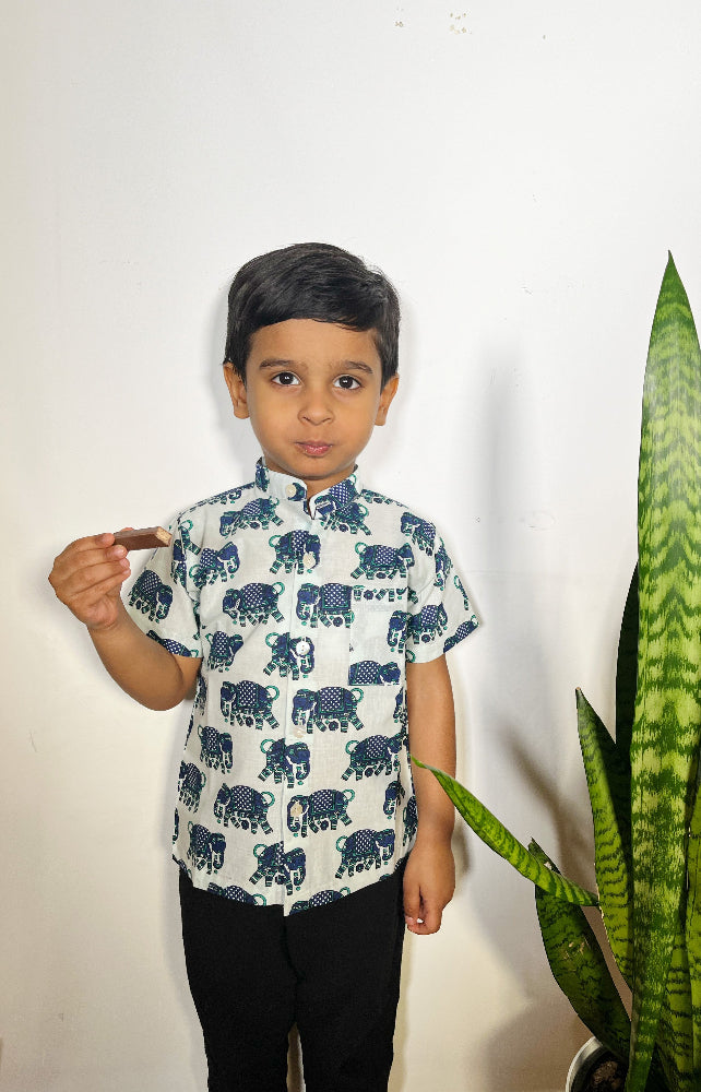 animal print boys button down shirt