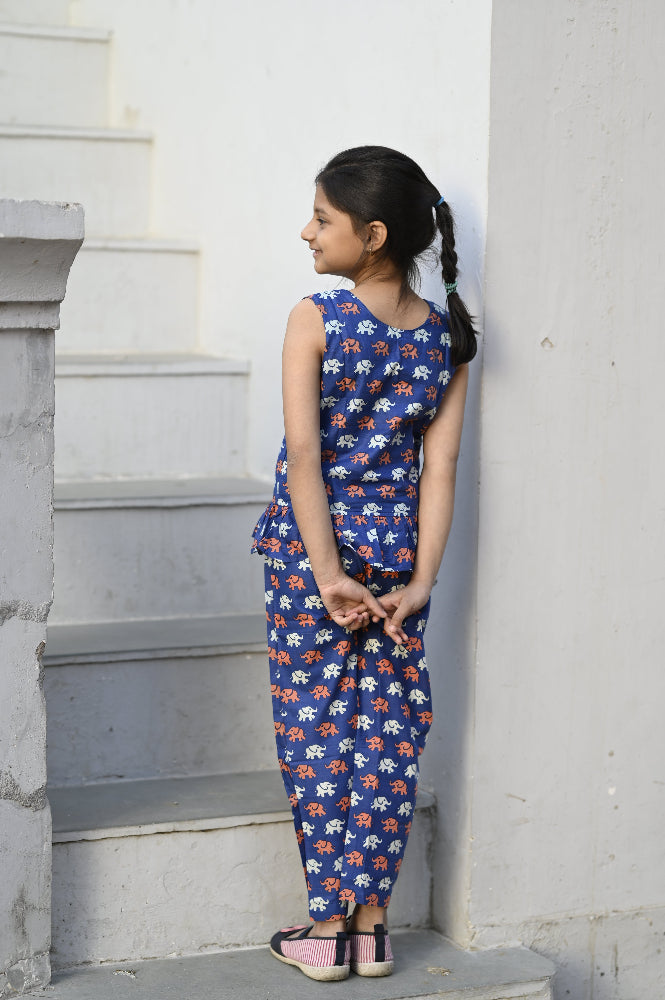 Cotton animal printed girls co-ords set