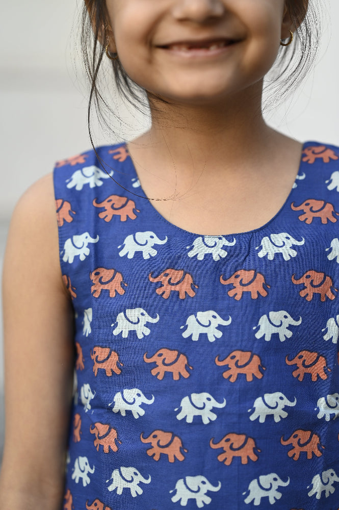 Cotton animal printed girls co-ords set