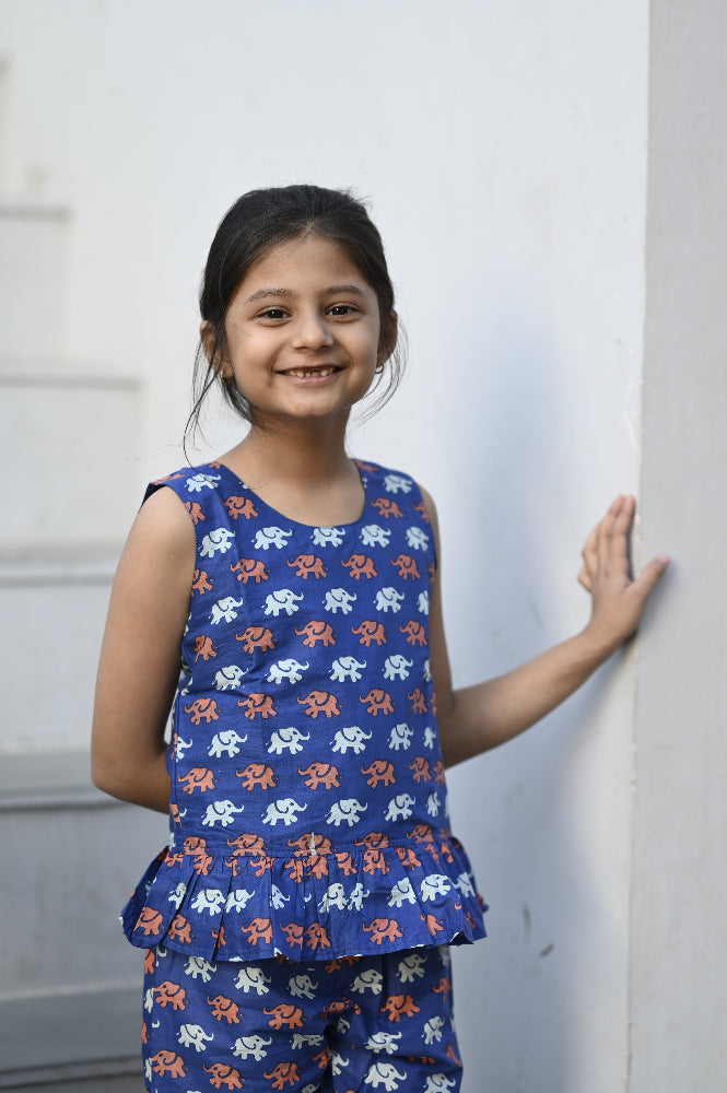 Cotton animal printed girls co-ords set