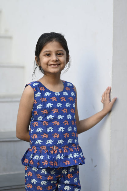 Cotton animal printed girls co-ords set
