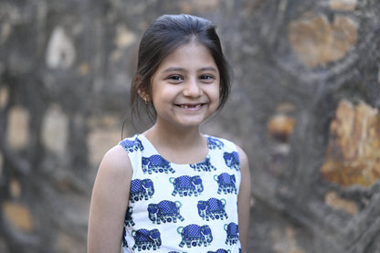 Cotton animal printed empire waist kids dress